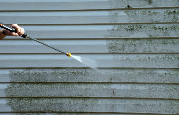 Best Gutter Cleaning in Cosmopolis, WA